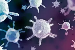 El VPH puede transmitirse sin penetración: especialistas alertan sobre formas de contagio