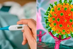 Virus Nipah en India enciende alertas sanitarias por su alta letalidad