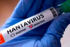 Qué es el hantavirus y por qué preocupa a la OMS