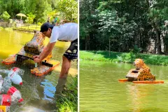 Estudiantes de Chiapas crean robot que recoge 120 kilos de basura en 30 minutos