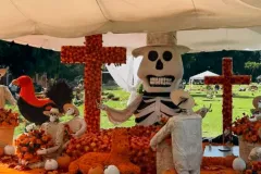 Tumba de El Mencho luce ofrenda gigante de Día de Muertos. VIDEO
