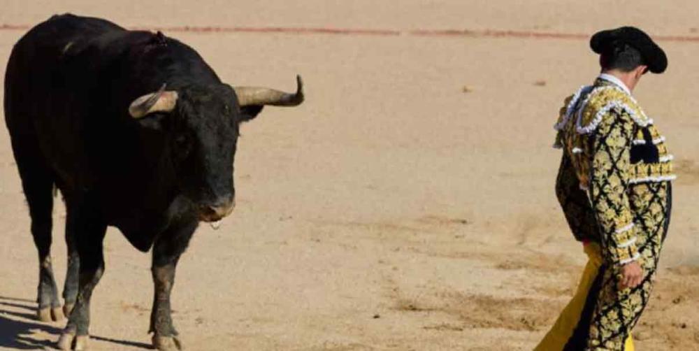 COLOMBIA. Congreso prohíbe las corridas de toros