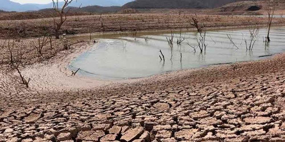 Por extrema sequía, Sinaloa podría declararse zona de desastre