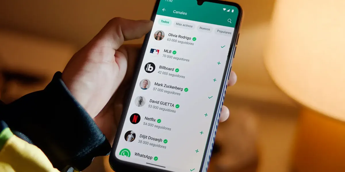 WhatsApp facilita la liberación de espacio con nueva función