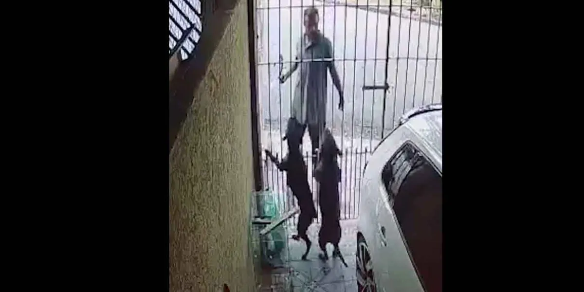 VIDEO. El perro es el mejor amigo del hombre y lo demuestra defendido su casa de un ladrón