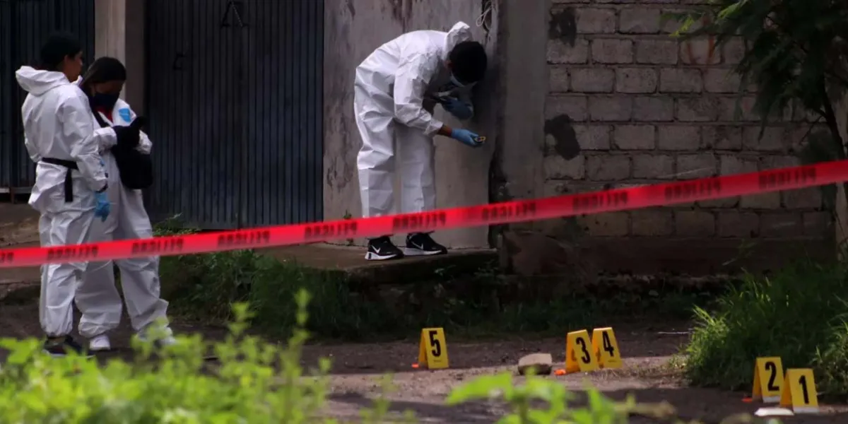 Sheinbaum destaca disminución del 44% en homicidios en el país