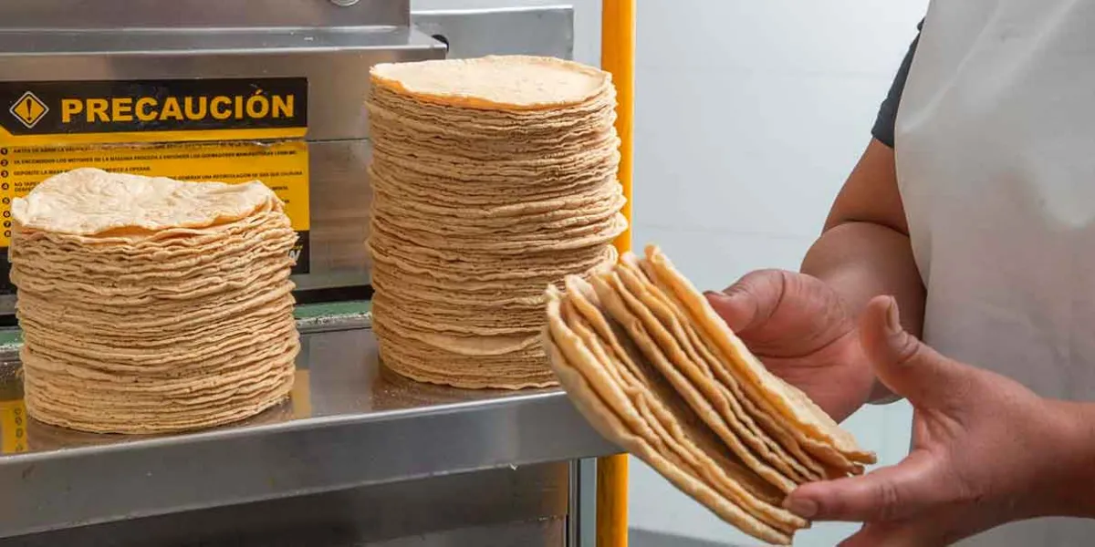 Nada justifica aumento al precio de la tortilla