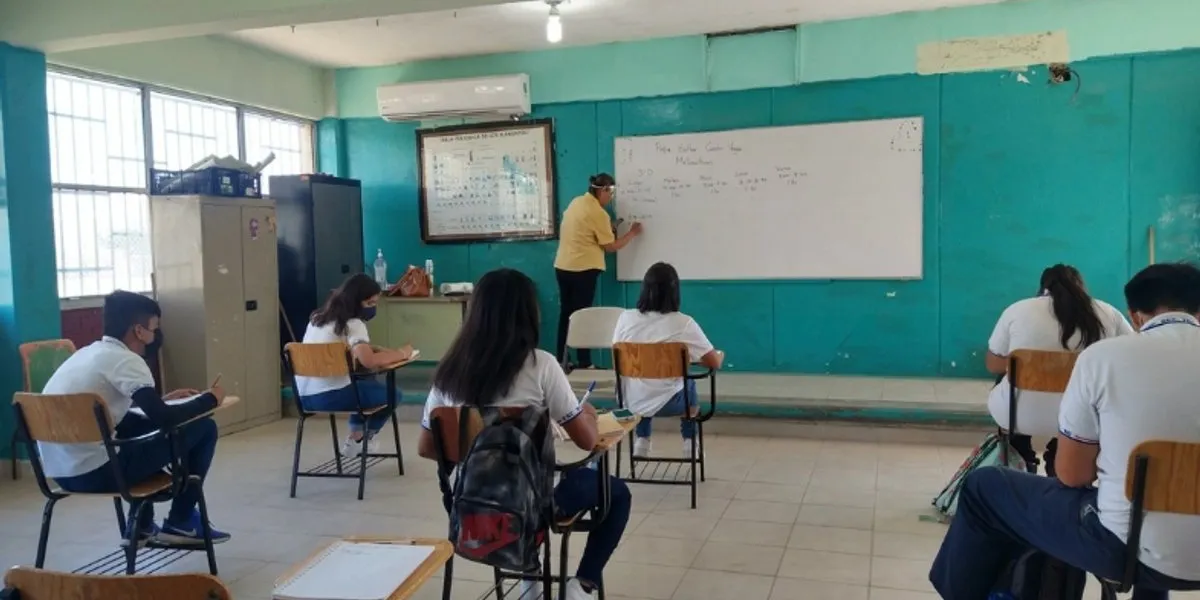 México en el sótano de la OCDE, los retos pedagógicos que la SEP no pudo recortar
