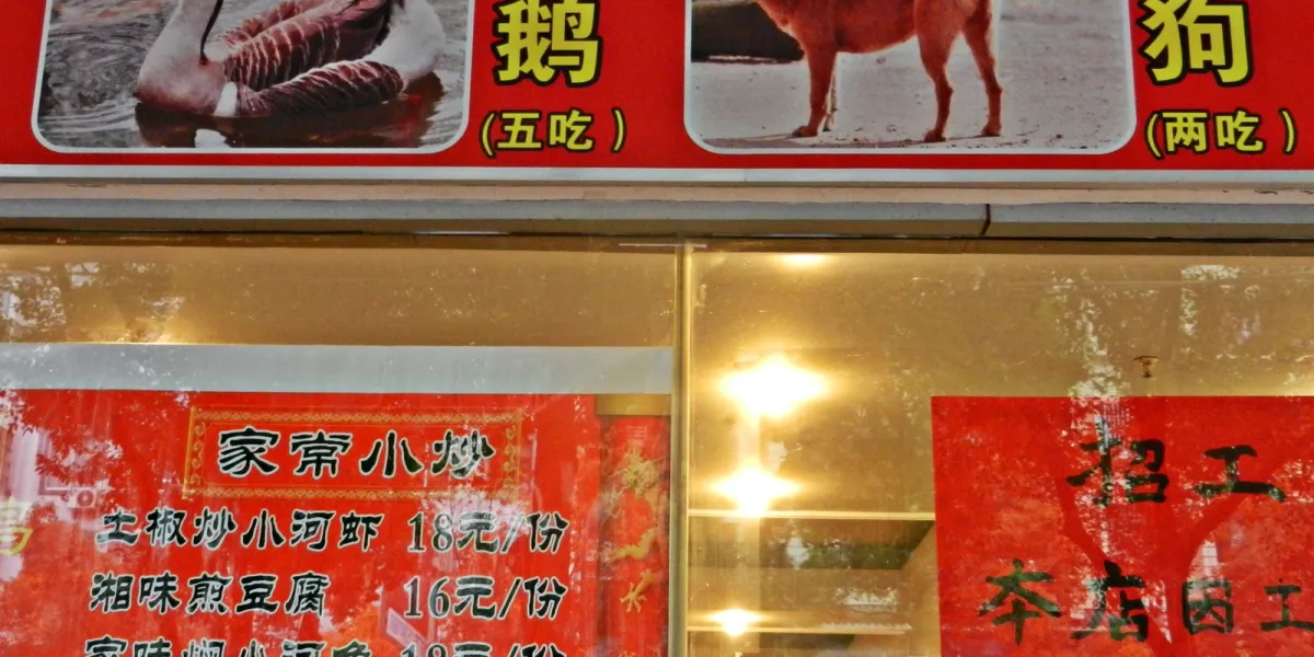 El trágico final de Chutou ha consternado a miles de internautas dentro y fuera de China