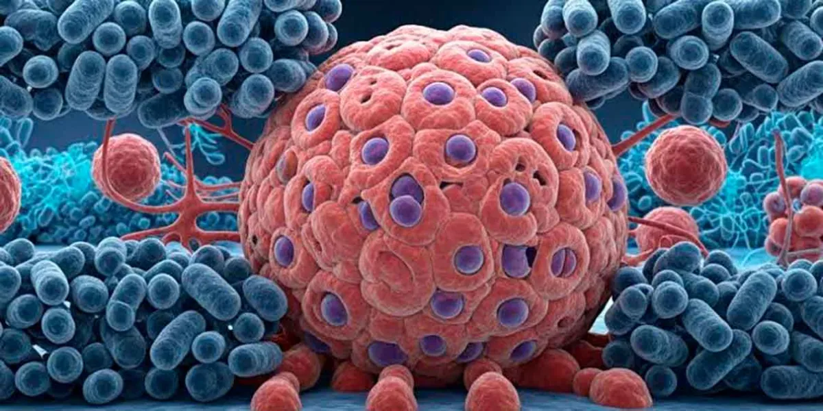 OMS alerta por aumento de casos de cáncer: diagnósticos podrían llegar a 35 millones en 2050