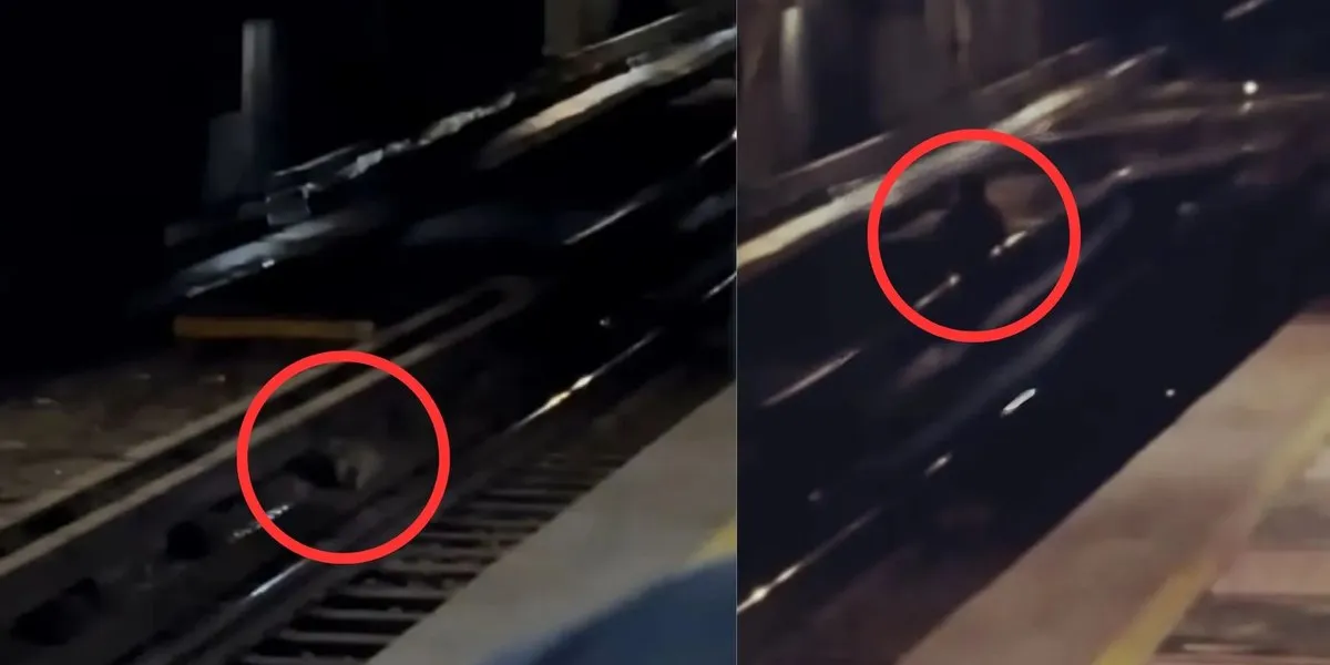 Captan supuesta figura de un "nahual" en la Línea 3 del Metro de la CDMX y el video se vuelve viral