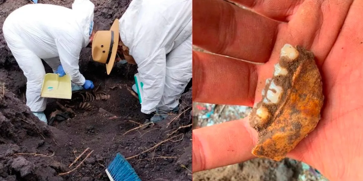 Madres buscadoras reportan mil 600 dientes de leche en fosa de Michoacán ¿De quién son y como murieron?