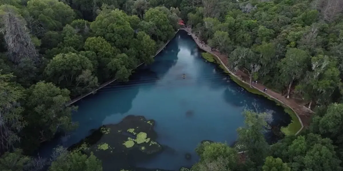 Bosque de las Truchas: el plan perfecto para una escapada a Hidalgo