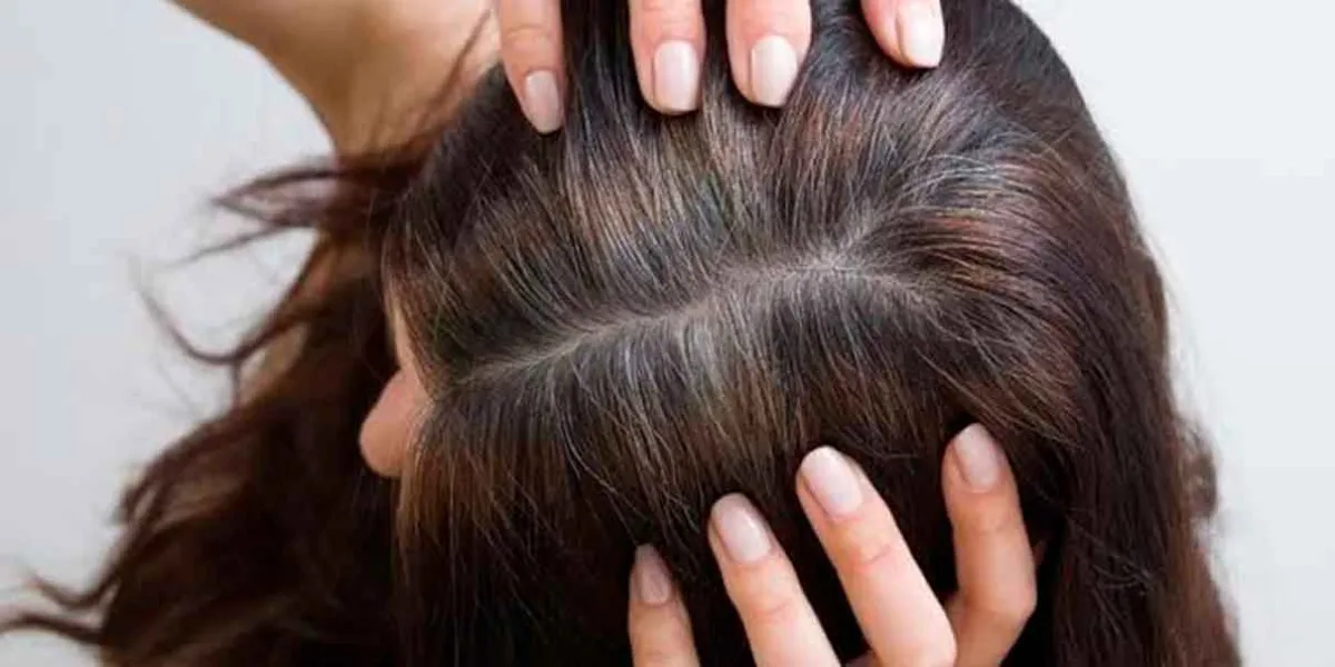 ¿El cabello envejece? Qué cambia y qué ingredientes pueden ayudar