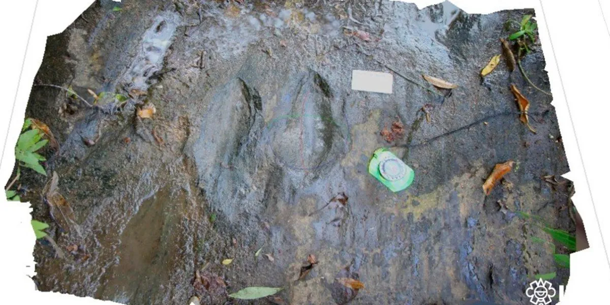 INAH confirma hallazgo de 50 huellas de dinosaurios en Michoacán