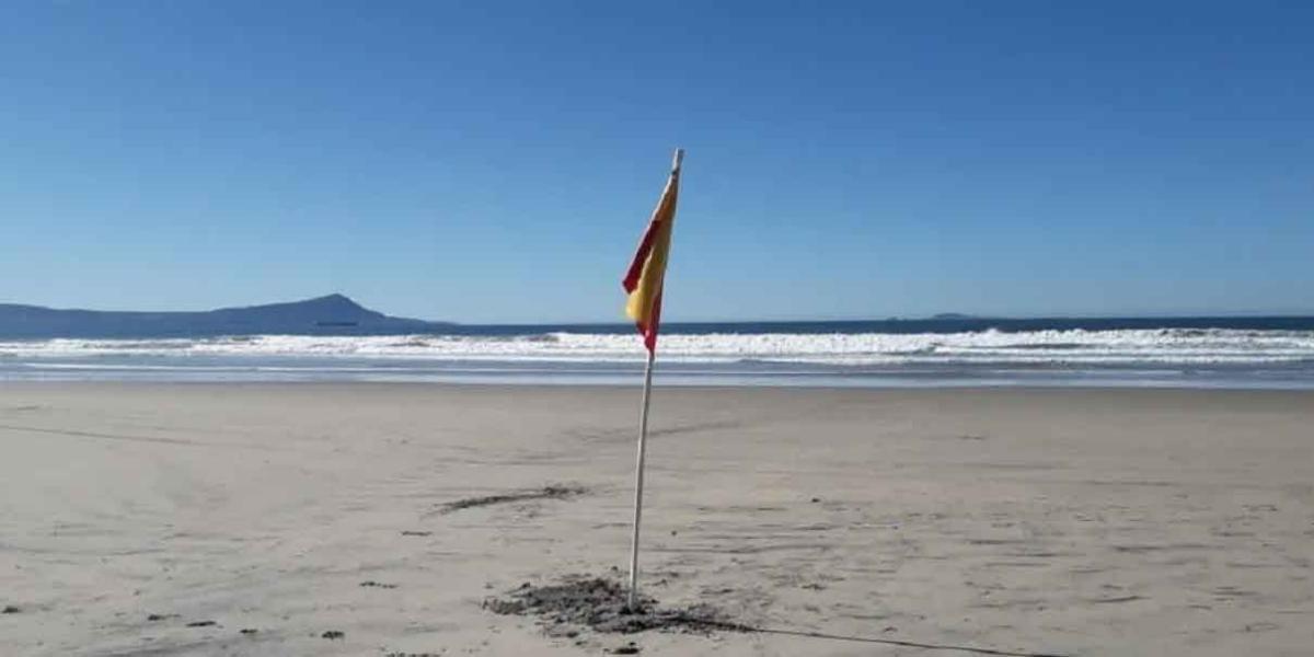 Cofepris:  Playas de Guerrero, Oaxaca y BC con altos niveles de heces fecales