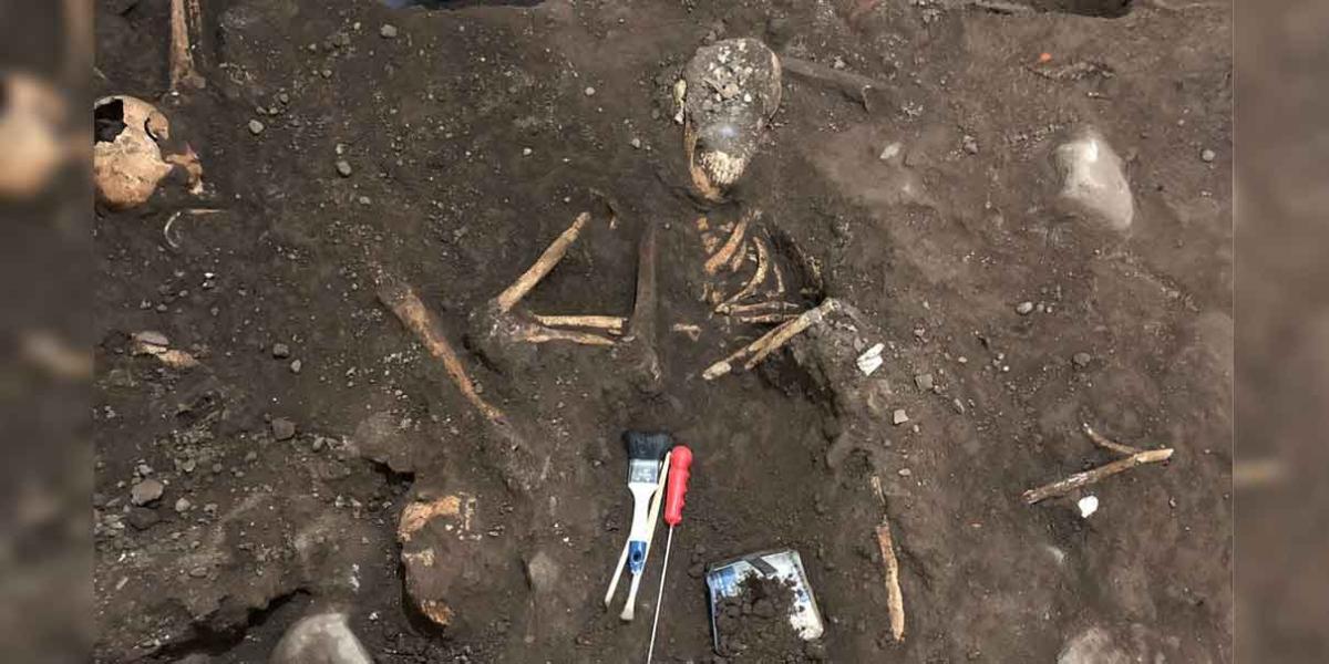 Hallan cráneos y huesos mientras reparaban baños de una catedral en Colima
