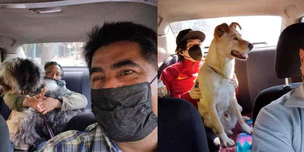 Taxista se vuelve viral por ser pet friendly 