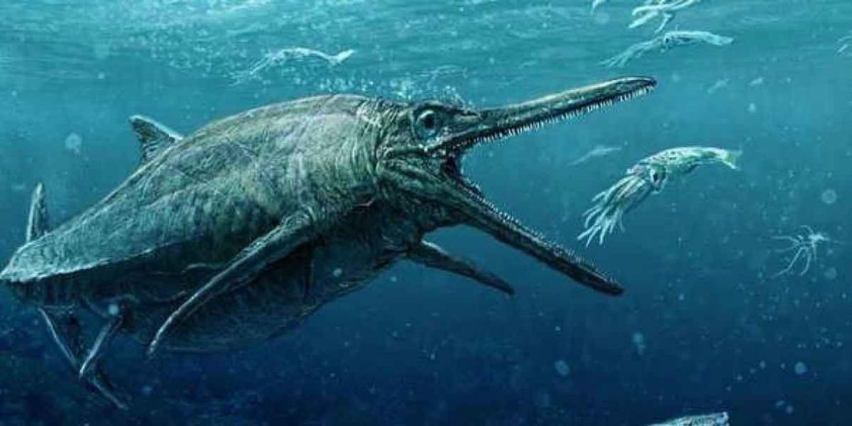 Hallan fósil de monumental Ictiosaurio 