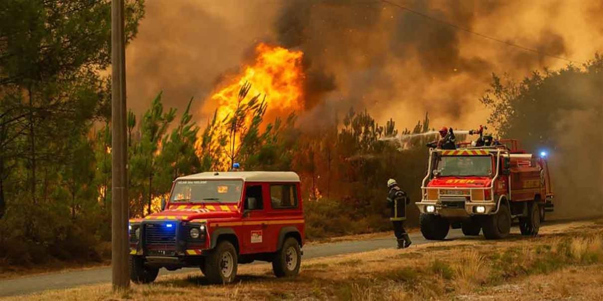 Francia en llamas, gran incendio forestal ha quemado una gran zona de pinares