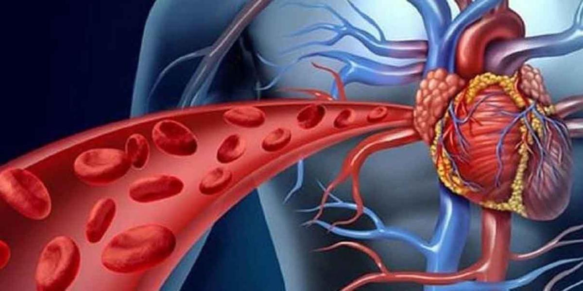  La hipertensión arterial termina por dañar riñones, corazón y cerebro