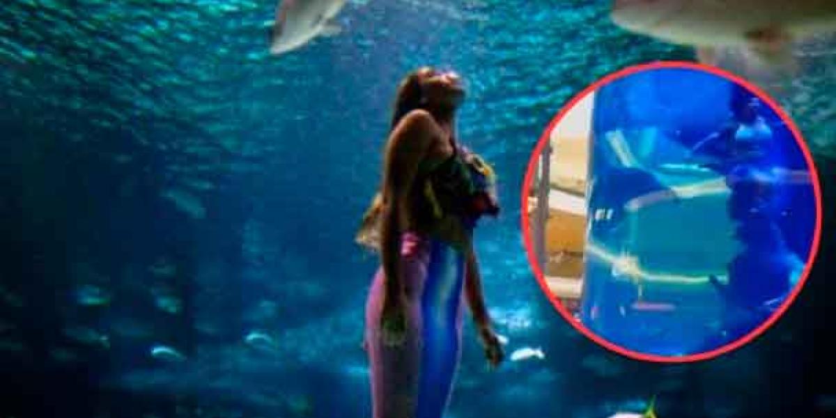VIDEO. Sirena casi se ahoga durante pleno show en vivo; fue atacada por una mantarraya