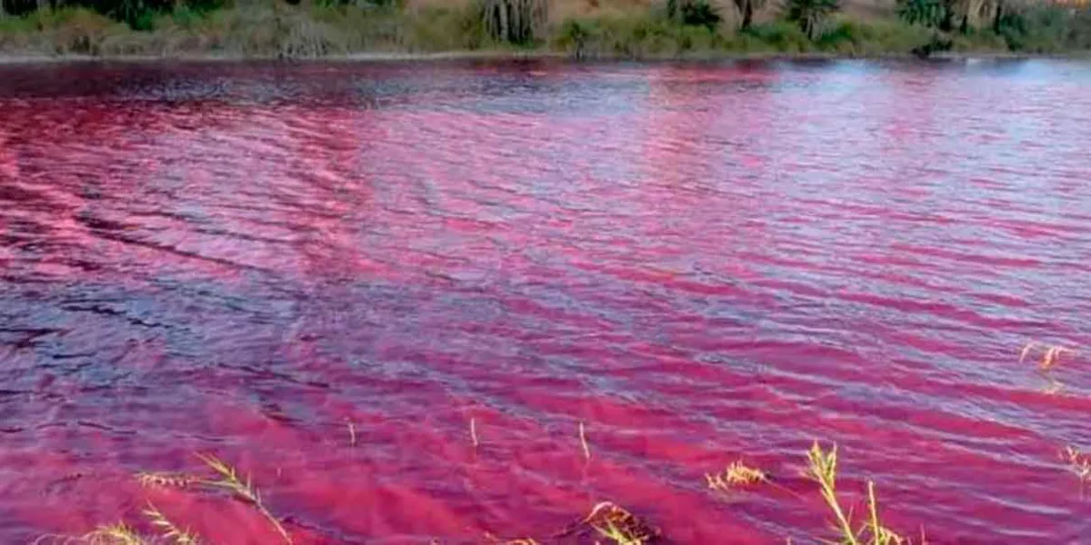 Por qué se tiñe el río Nilo de Rojo, esto dice la Biblia