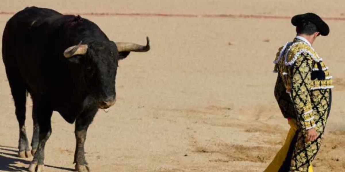 COLOMBIA. Congreso prohíbe las corridas de toros