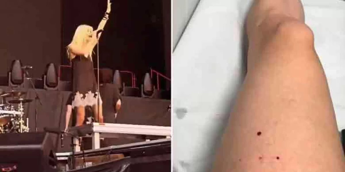 Murciélago muerde a Taylor Momsen en pleno concierto de AC/DC en Sevilla 