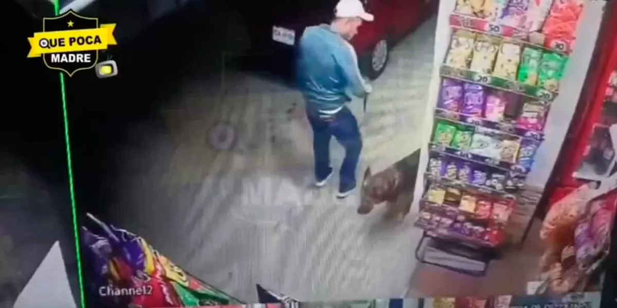 VIDEO. Sin razón sujeto apuñala a perro callejero en Ixtapaluca