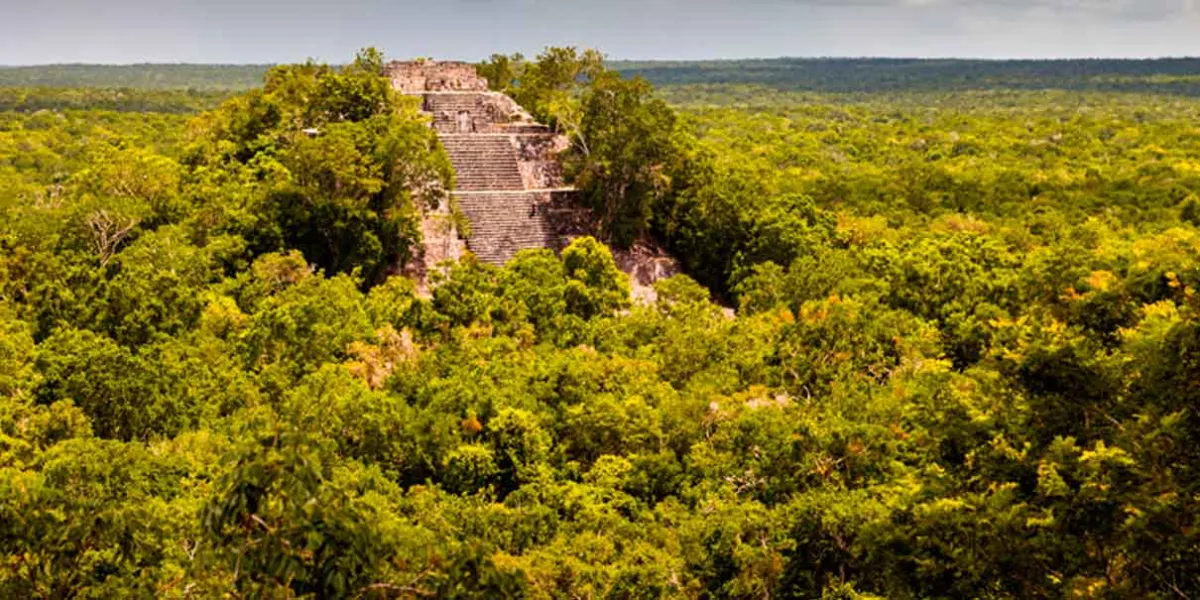 Descubren “Valeriana” ciudad maya oculta en la selva de Campeche 