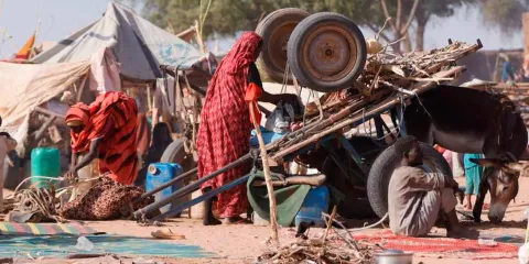 Masacre en El Fasher: escalofriantes evidencias de ejecuciones y bloqueo humanitario por parte de las FAR en Sudán