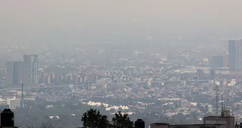 Mantienen Fase I de contingencia ambiental en el Valle de México: Consulta qué autos no circulan este domingo