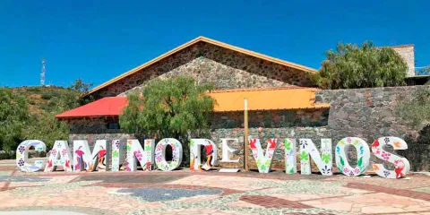 Camino de Vinos: la nueva experiencia turística para descubrir Guanajuato entre copas y paisajes