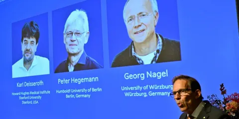Nobel de Medicina premia técnica que permite encender y apagar neuronas con luz