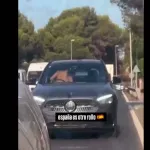 Pareja mantiene SEXO EXTREMO mientras manejan en transitada carretera 