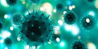 Metapneumovirus humano nuevo virus pone en alerta a China