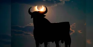 VIDEOS. El día se hizo noche: así se vivió el eclipse solar total de 2026