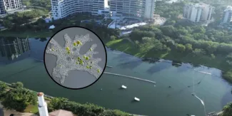 Ameba comecerebros deja su primera muerte en México; autoridades cierran lago en Yucatán