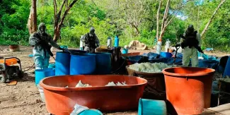 GOLPE AL NARCO. Desmantelan cuatro laboratorios de metanfetamina en Michoacán y Guerrero