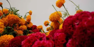 Mercado de flores de Atlixco abrirá 24 horas por Día de Muertos