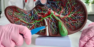 ¿Qué pasa en tu cuerpo cuando te quitan la vesícula? Estos son los cambios