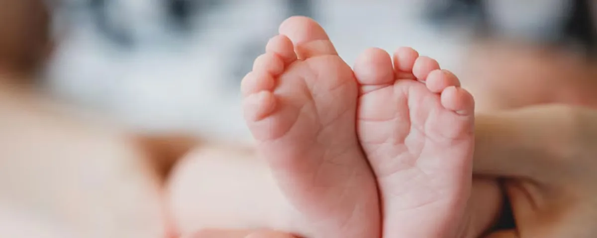 Mueren 5 bebés más en el IMSS Jalisco y crece la investigación por casos de Klebsiella y Candida